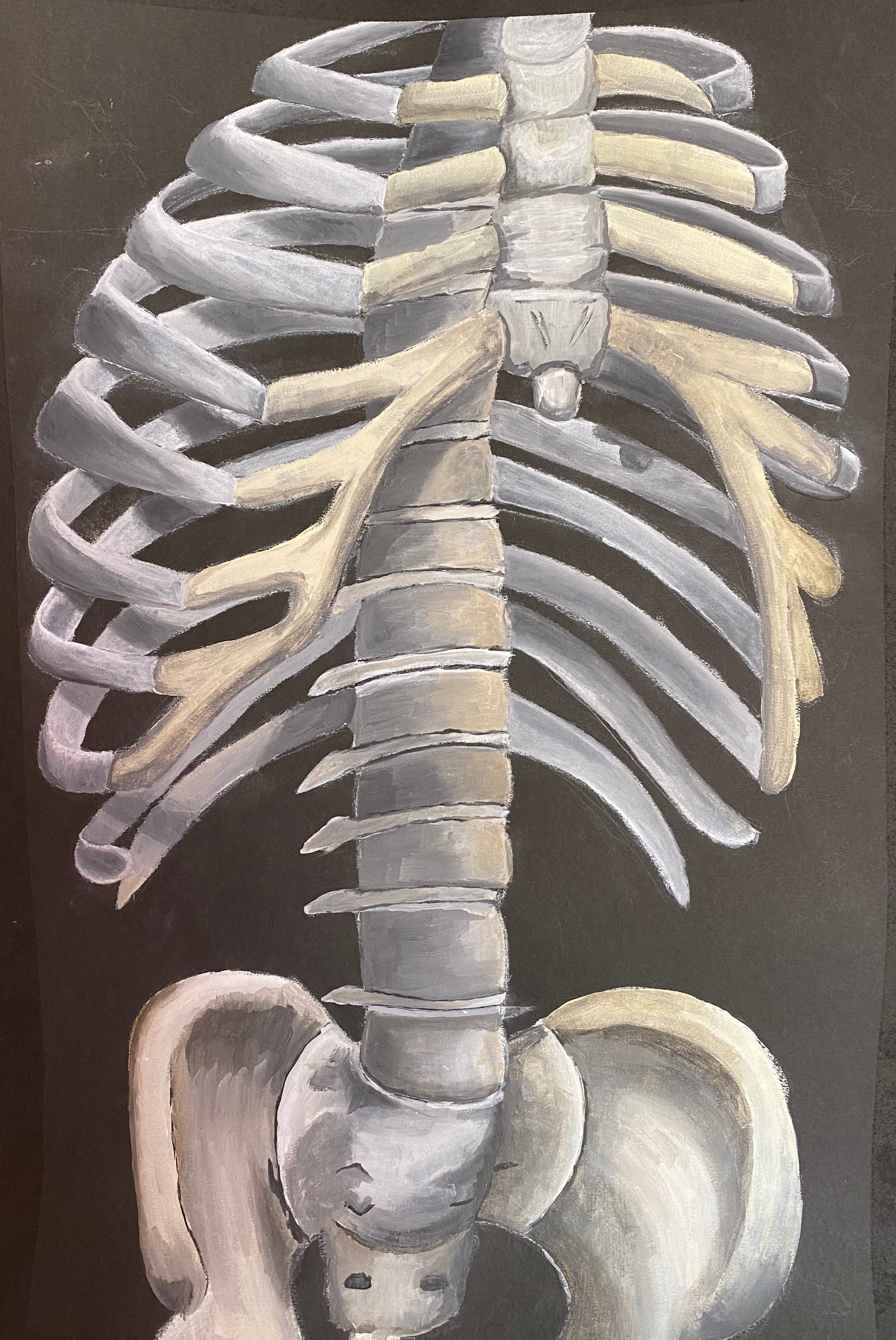 skeleton