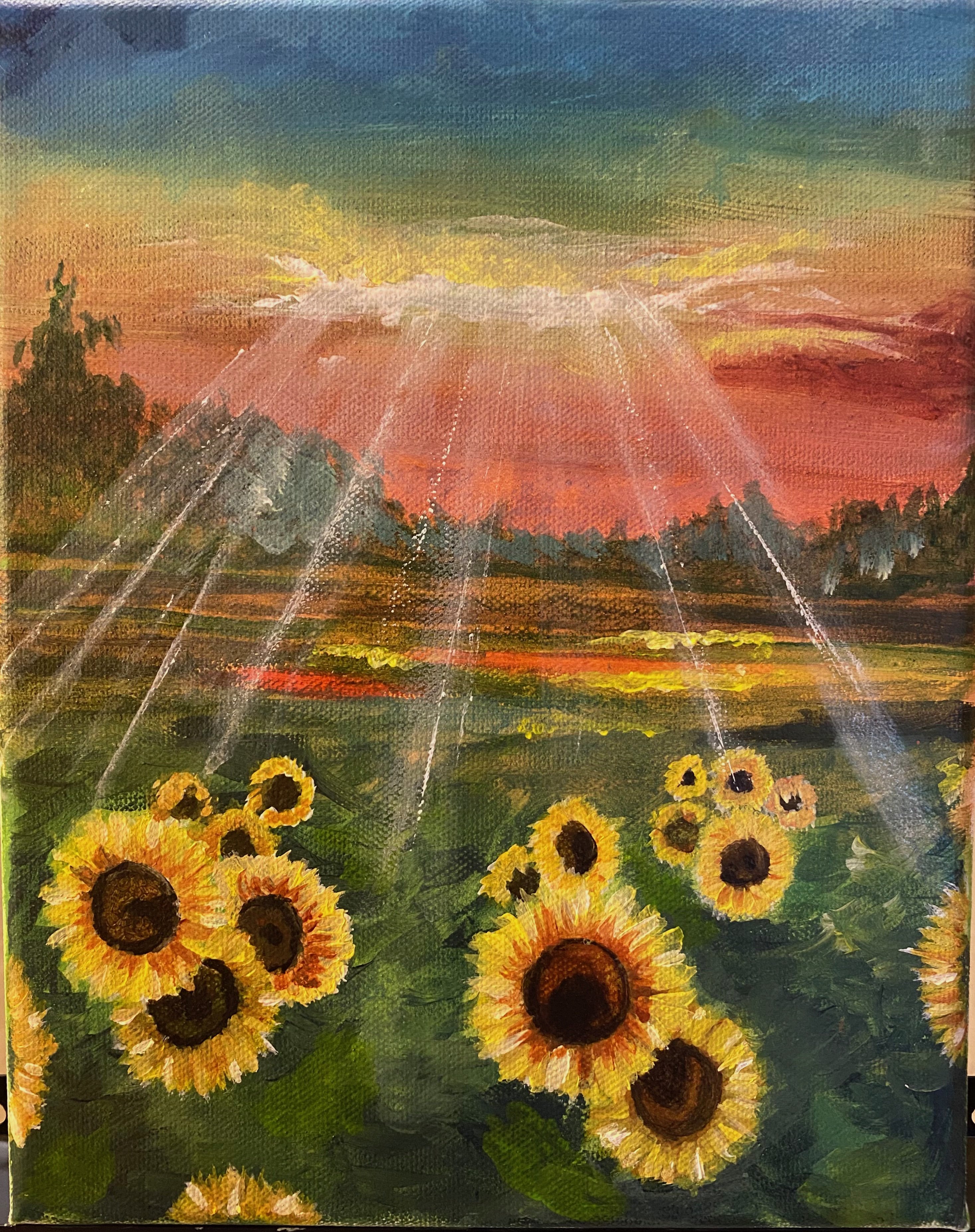 sunflowers